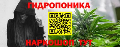 стафф Свободный