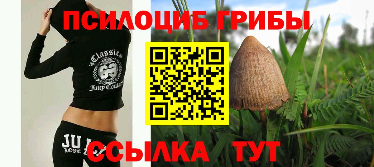 Псков  Псилоцибиновые грибы мицелий  Вход с VPN  Псилоцибиновые грибы прущие грибы 